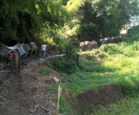 韶关马帮运输队