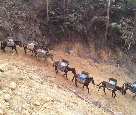 韶关山路马帮运输