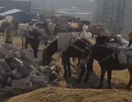 韶关马队山路运输