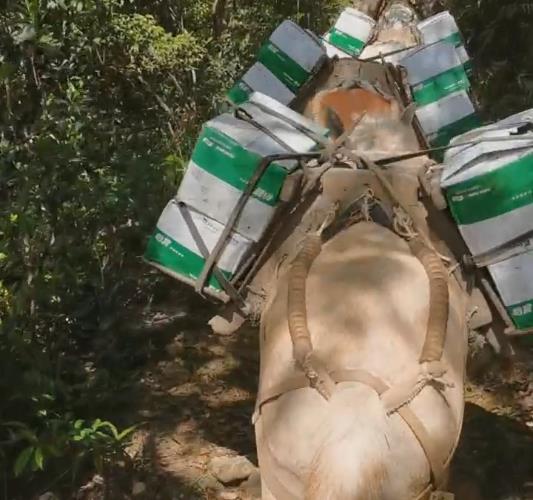 韶关骡马山路运输