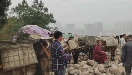 韶关骡马山区运输