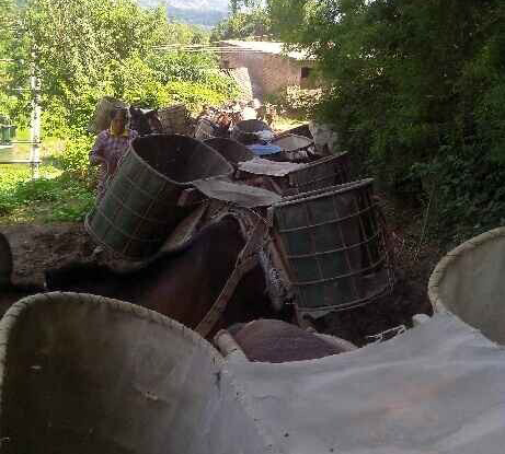 韶关骡马运输队