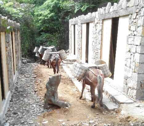 韶关马队运输队