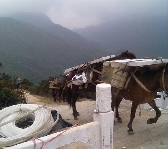 韶关山区马帮运输